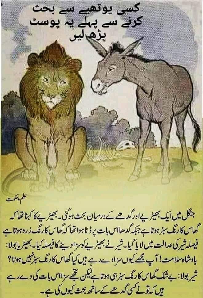 Murtaza Solangi on Twitter: Murtaza Solangi on Twitter: