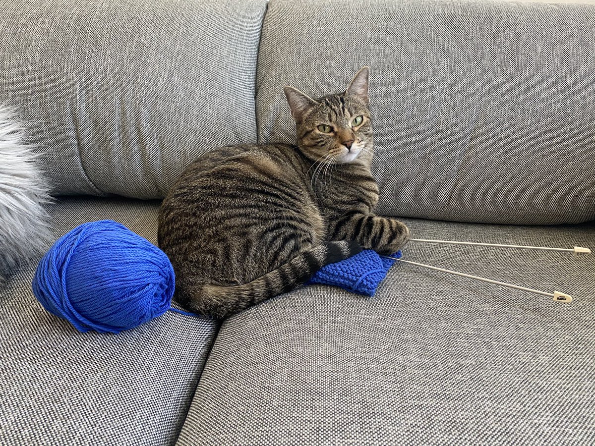 Emily Womack (she/her) tweet media