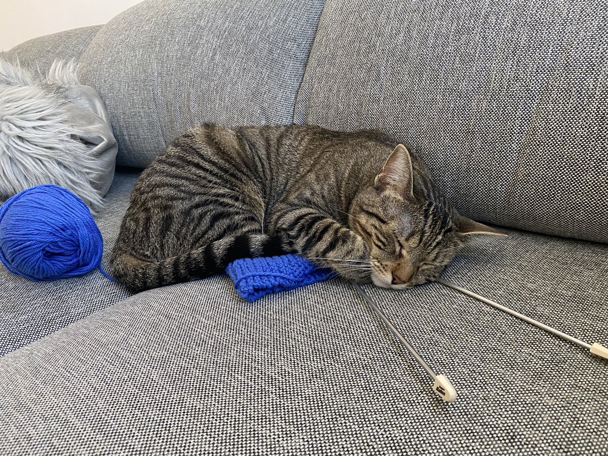 Emily Womack (she/her) tweet media