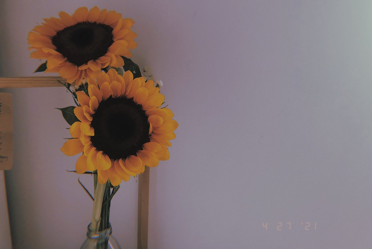 auoieong's tweet photo. what pandemic made me do. hahaha..
decorated a cake for my sister’s birthday, made a diy birthday card too..
bonus: made a diy flower vase for my tiny room 🌻
 
watch the video here. ⬇️⬇️⬇️
https://t.co/HhJtGtkhrR

#diy #diyph #diyprojects #diycake #vscoph #aesthetic https://t.co/kPMLvhotXY