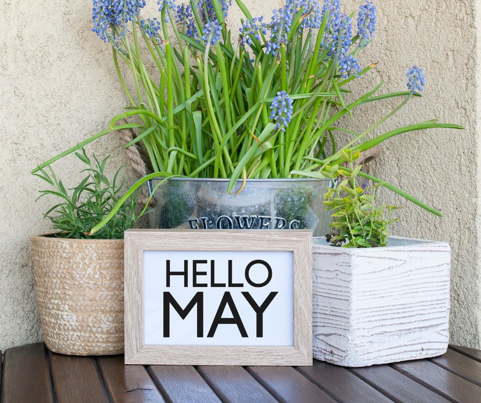 MissyShow's tweet image. Happy Caturday! Check out all the upcoming pet and animal holidays in May:
shesatortie.blogspot.com/2021/05/may-20… 
#animals #pets #May #holidays #TheMissyShow