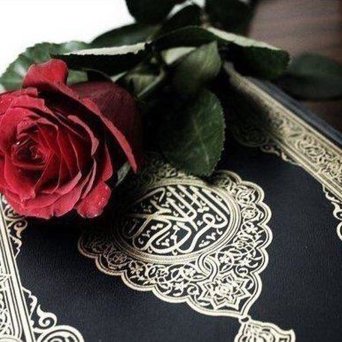 Ruwais0511's tweet photo. إن قرآن الفجر كان مشهودا.. ... يستحق قارئ القرآن شفاعة الله سبحانه له يوم القيامة، لقوله - صلى الله عليه وسلّم-: «اقْرَؤوا القرآنَ فإنه يأتي يومَ القيامةِ شفيعًا لأصحابه» https://t.co/8XdRFs5OlT