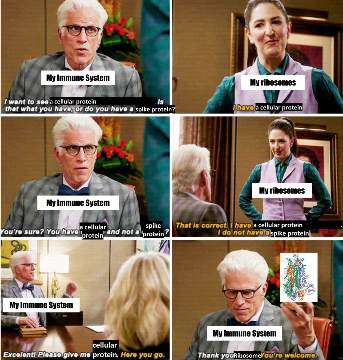 kylehelzer's tweet image. Me rn after dose #2. 
Thank you ribosome, but I would like to not be sore now.