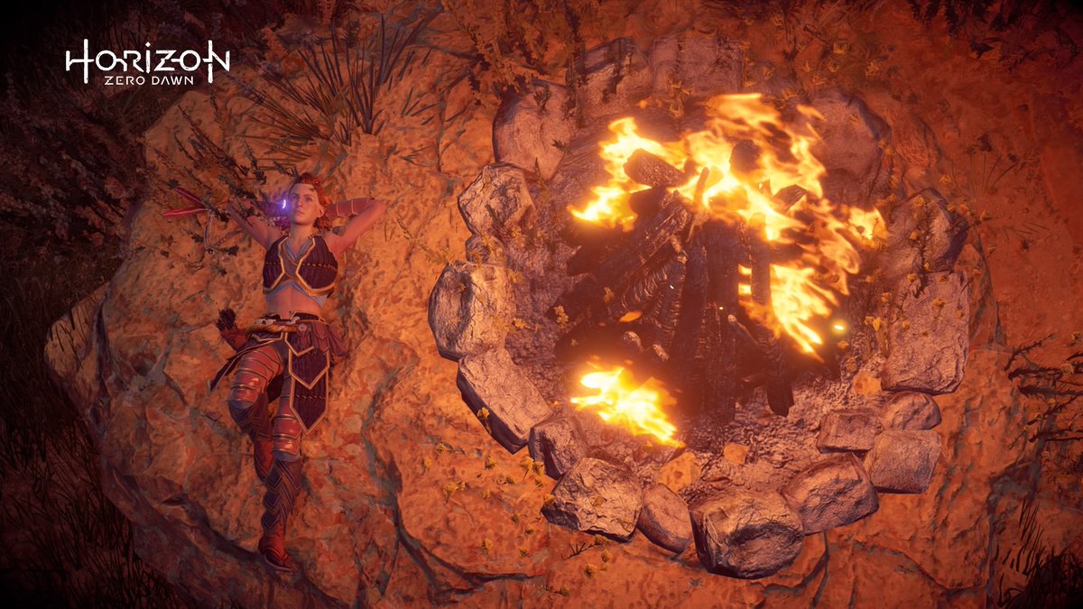 BleedingEdge98's tweet image. #HorizonZeroDawn #PSshare #PSBlog