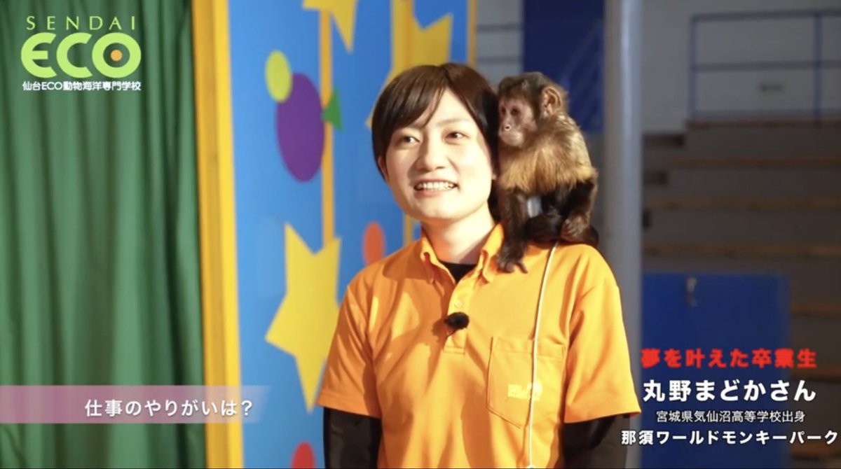 仙台eco動物海洋専門学校 V Twitter Youtubeチャンネルに新しい動画をアップしましたワン 動物飼育員として働いている卒業生にインタビュー 那須ワールドモンキーパーク 動物園 飼育 飼育員 アニマルトレーナー 専門学校 卒業生 夢を叶えた卒業生