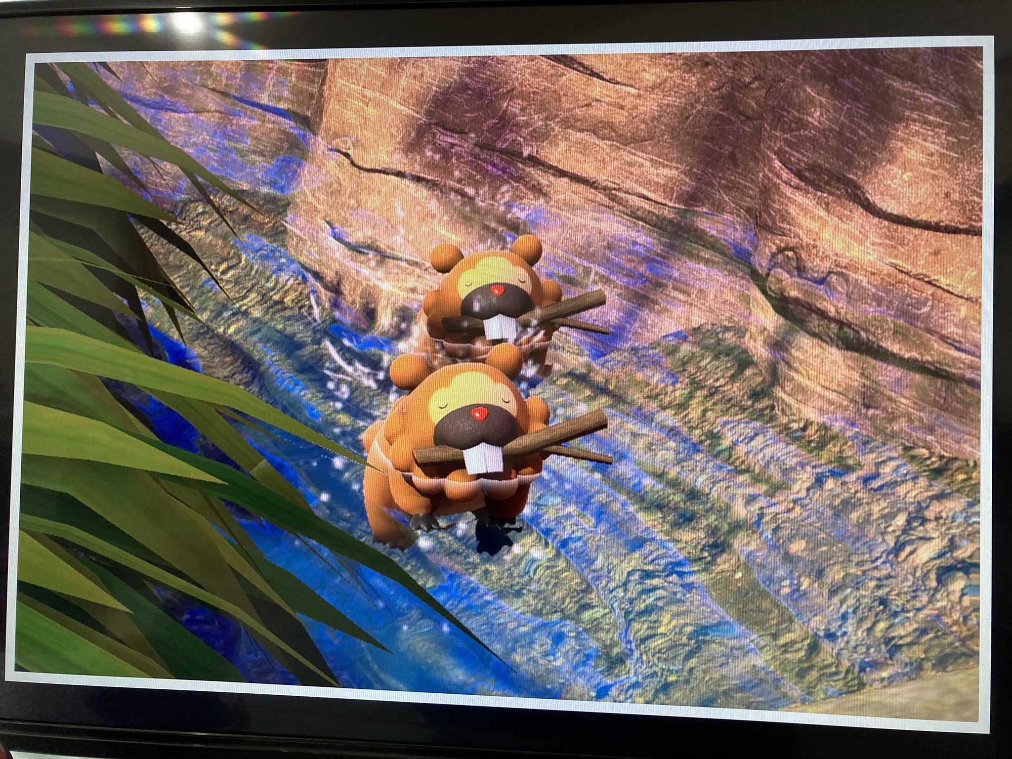 イマクニ 在 Twitter 上 ポケモンスナップ買ったよ ビッパばかり撮ってます ポケモンスナッブ T Co Xtmbghidil Twitter