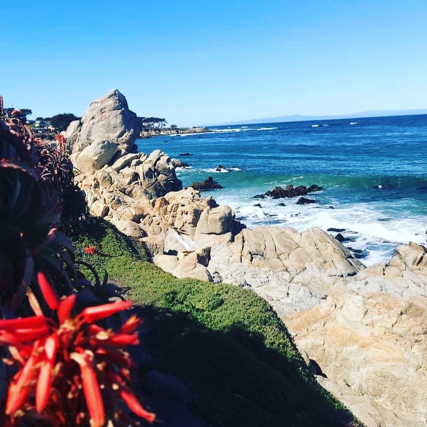 Monterey and Pacific Grove are beautiful places for a central coast  getaway. 🏖 #tidepool #california
#Beach #Monterey #PacificGrove