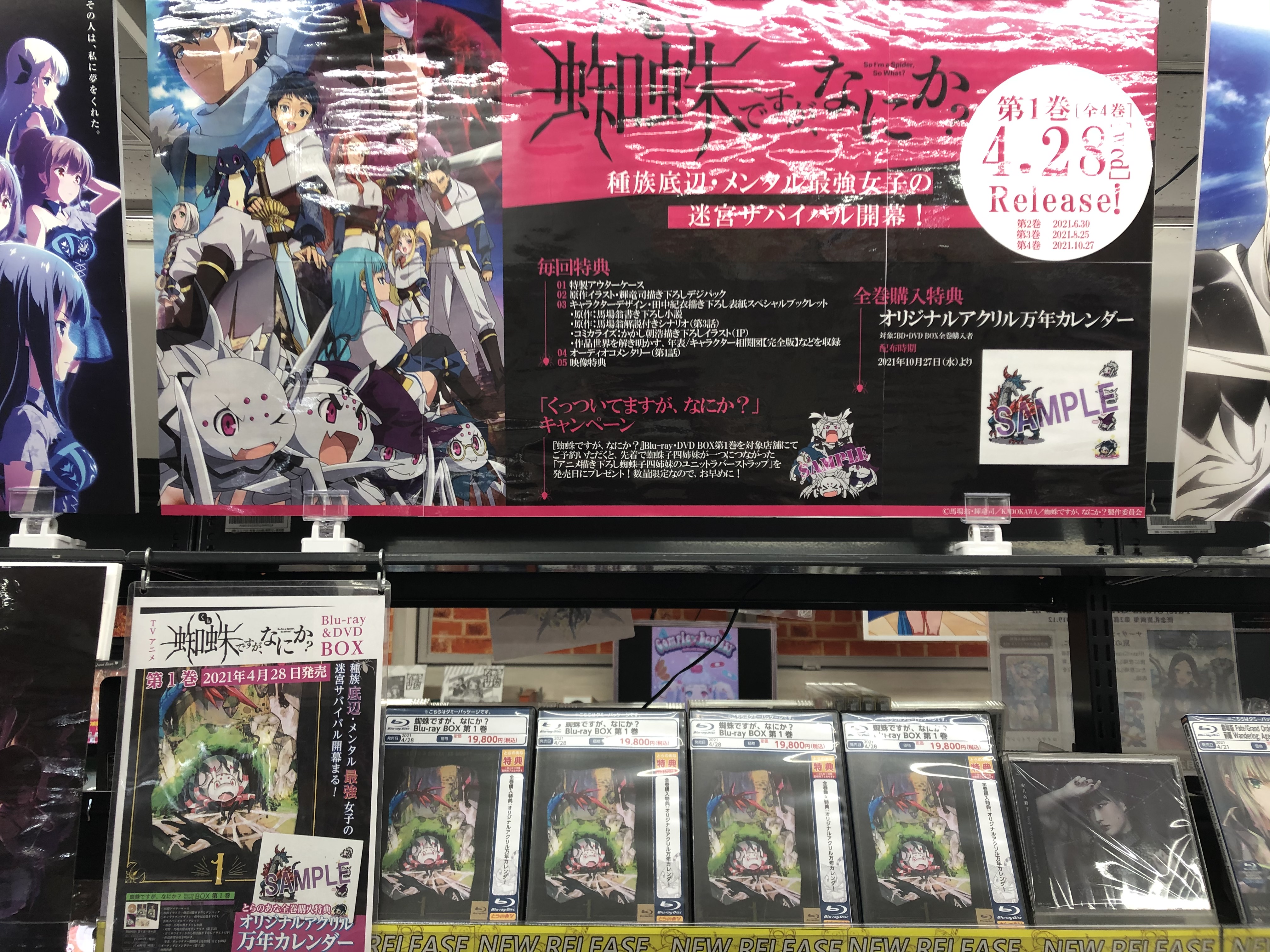 が大特価 蜘蛛ですが なにか Blu Ray 第1巻 Box Blu Ray アニメ Williamsav Com