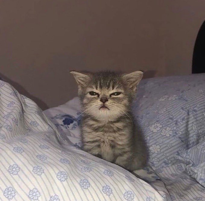 Watch nixxdee's leaked NSFW photo on TwXstars