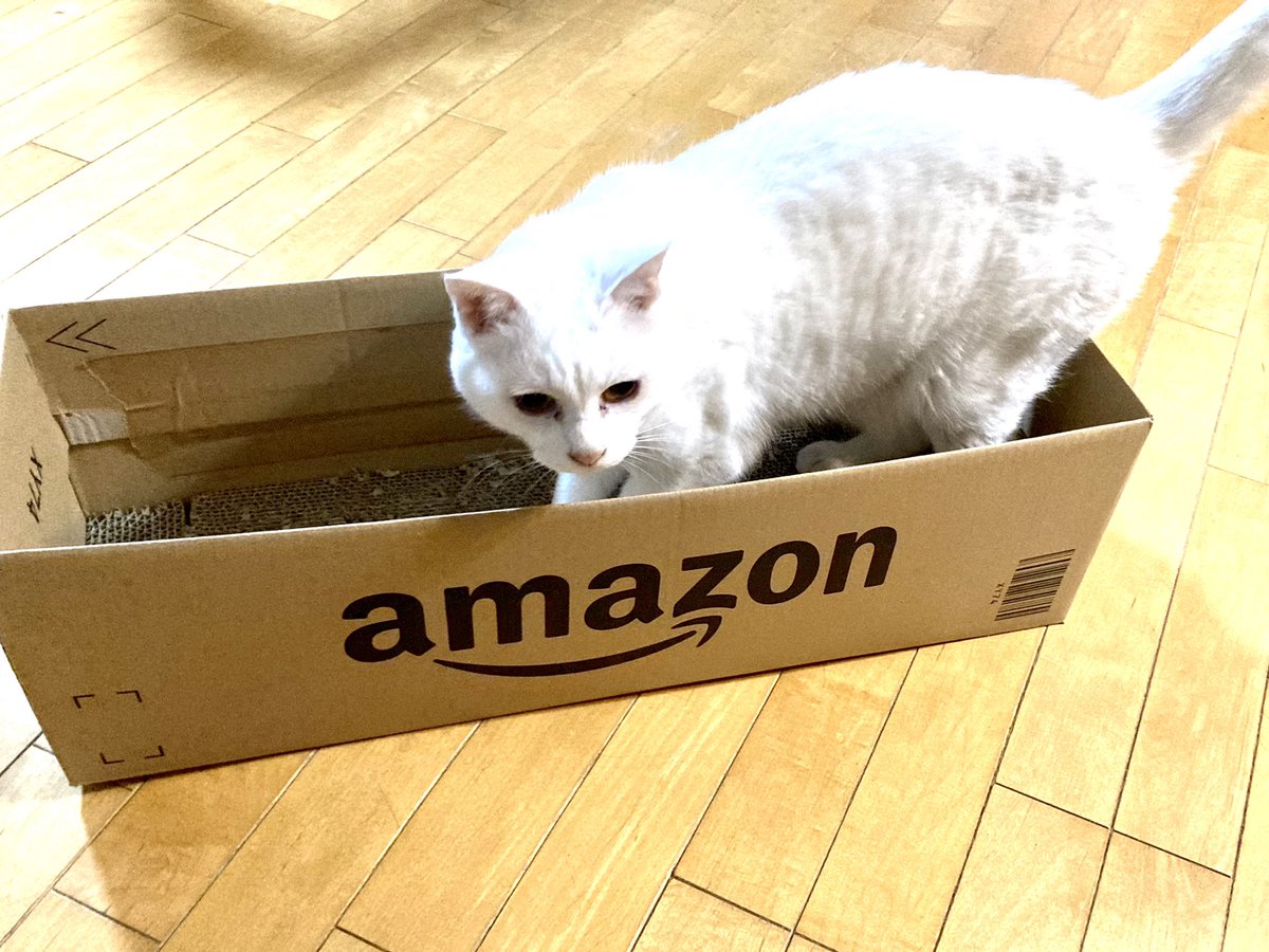 爪とぎをダンボールに入れると削りカスが飛び散りにくい 猫さんにも好評 空箱でも喜んで入ってます Togetter 爪とぎをダンボールに入れると削りカスが飛び散りにくい 猫さんにも好評 空箱でも喜んで入ってます Togetter
