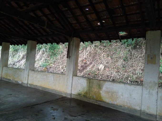 Sisu Savi tweet media