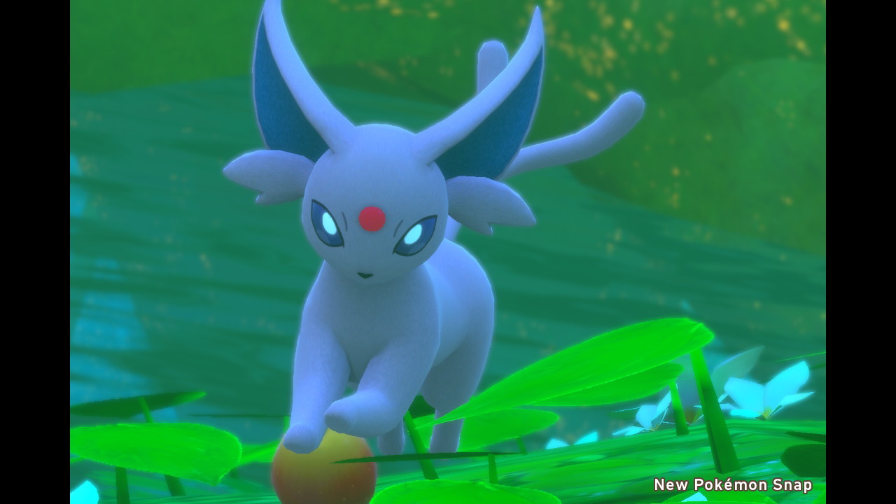 Twitter 上的 みと エーフィが可愛すぎてとまらない Newポケモンスナップ T Co Tfmibjjrrt Twitter