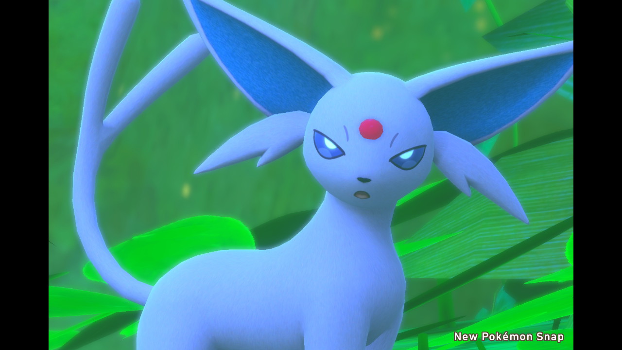 تويتر みと على تويتر エーフィが可愛すぎてとまらない Newポケモンスナップ T Co Tfmibjjrrt