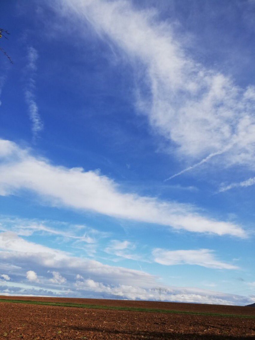 fragmentiert's tweet photo. #Frühling läßt sein #blau:es #Band wieder #flattern durch die #Lüfte … https://t.co/gY4qOX4H1e