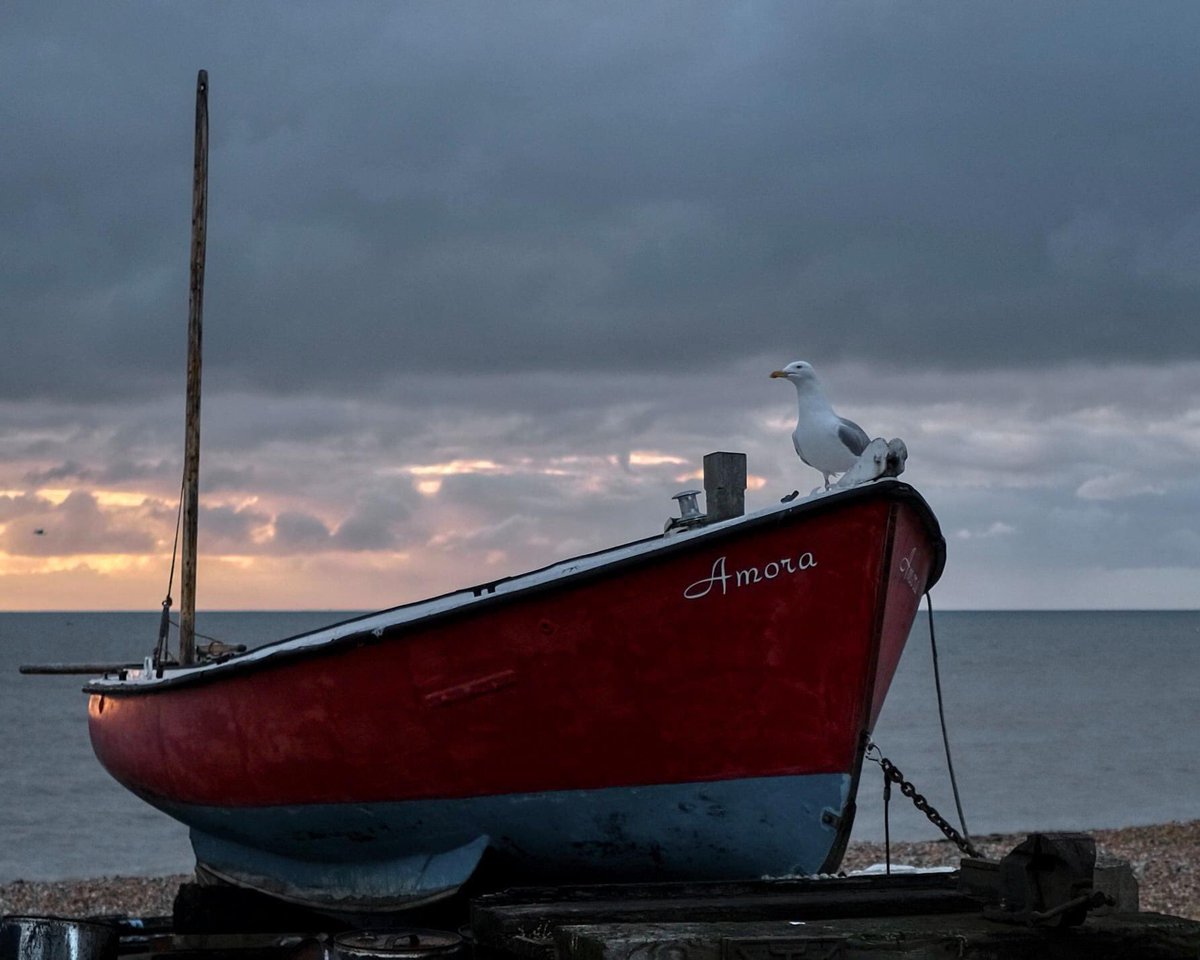 Derek Walker tweet media