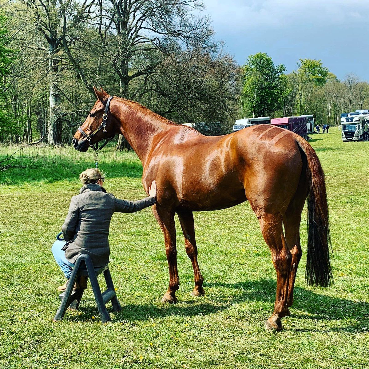 Special moments .....<a href="/HLBish/">Holly Bishop</a> with our Finduss PFB <a href="/MusketeerEvents/">Musketeer Events</a> Cirencester. Gleaming thanks to <a href="/nafuk/">@nafuk</a> #greekgod 💜