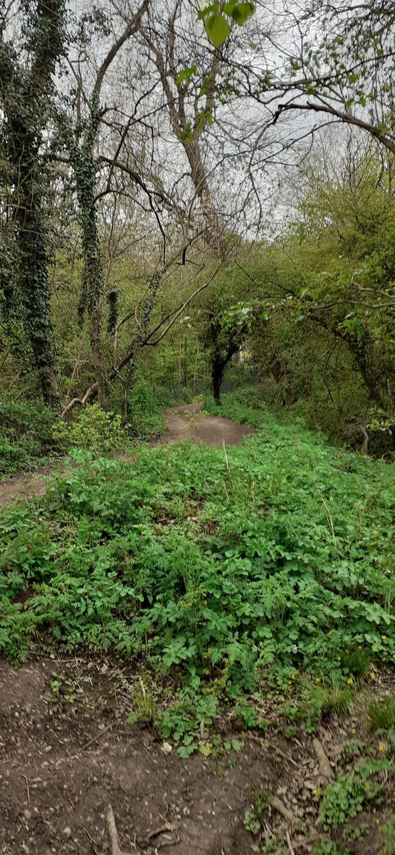 kuha4harrow's tweet photo. I enjoyed my early morning walk in Harrow before what will be a hectic day.
Daily exercise is a vital part of our lives!
Enjoy your bank holiday weekend, everyone!
#dailyexcercise #dailywalk
#naturetherapy
#MentalHealthMatters
#harrowlife
#localharrow #localpark https://t.co/jhXcjiqsHh