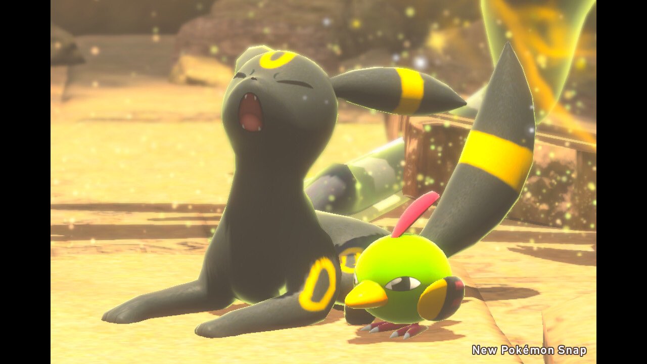 ぶらきち ギルキスday2 ブラッキーばっかり第一弾 ﾜｧ 可愛いﾈｪ えへえへ ポケモンスナップ Newポケモンスナップ Newpokemonsnap T Co Qi2qzofiao Twitter
