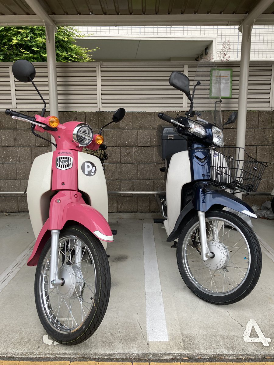 スーパーカブ 出演者 最新情報まとめ みんなの評価 レビューが見れる ナウティスモーション 5ページ目