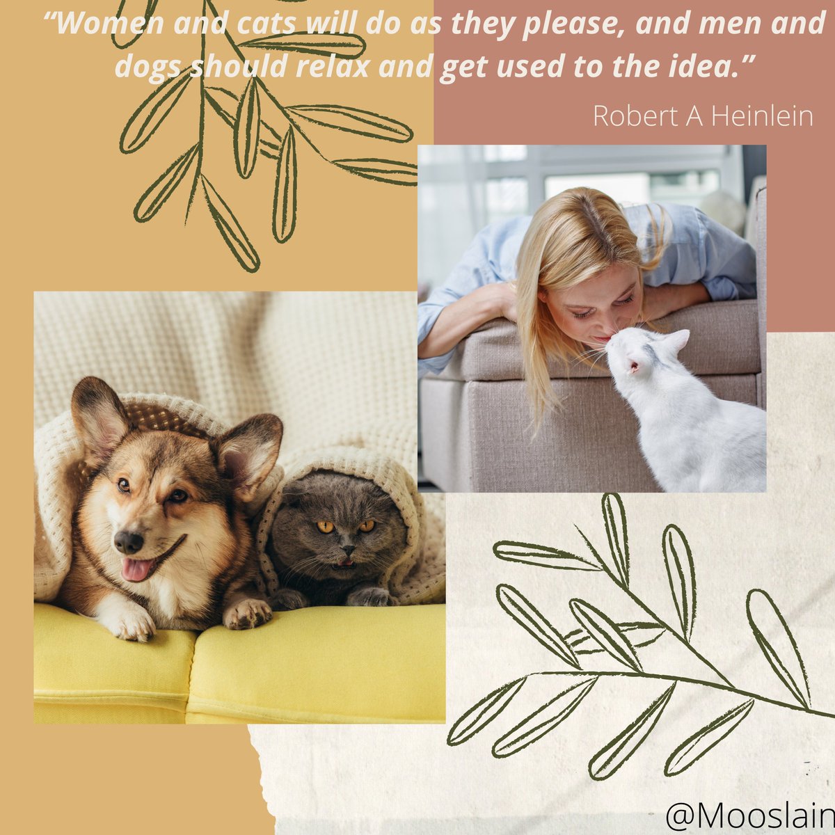 crisfixtransfer's tweet photo. "Women and cats will do as they please,and  men and dogs should relax andget udsed to the idea." - R.A.Heinlein
#mooslain #mooslainuk #crawley #gatwick #horley #eastbourne #reigate #redhill #epsom #guildford #woking #redhill #reigate #eastgrinstead #croydon #twickenham #reading https://t.co/iu6tzfoeMu