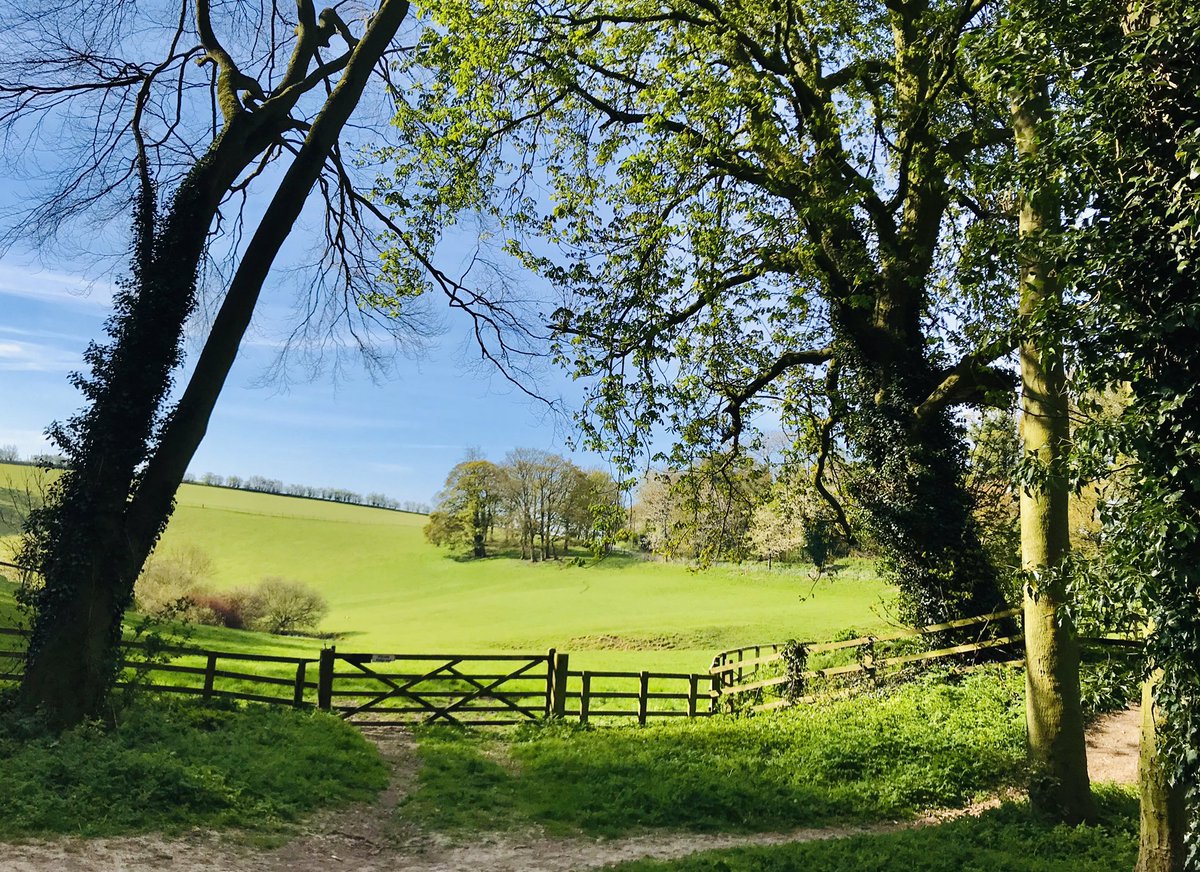 Over The Gate. 9°C and sunny after an early frost. Song Thrush singing. @2018Ria