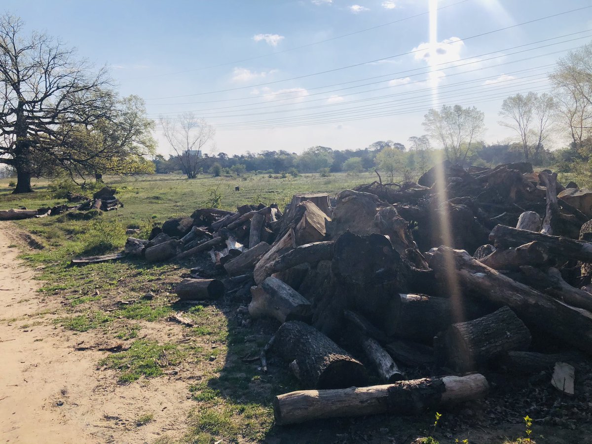 Ich war heute mit der #TwitterLaufGruppe auf Clubhouse laufen und wir konnten die Gelegenheit nutzen, <a href="/RemoteRun/">Remote Run</a> vorzustellen. #remoterun #remoterun2021 #spendenlauf #bewegungfuerdengutenzweck