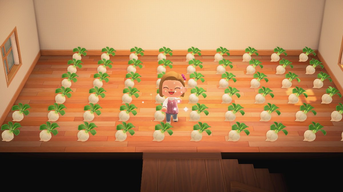 Celi419's tweet photo. #AnimalCrossing #ACNH #NintendoSwitch Día de nabooossss!!!!!! Feliz Domingo <3 https://t.co/CmxYXwffZk