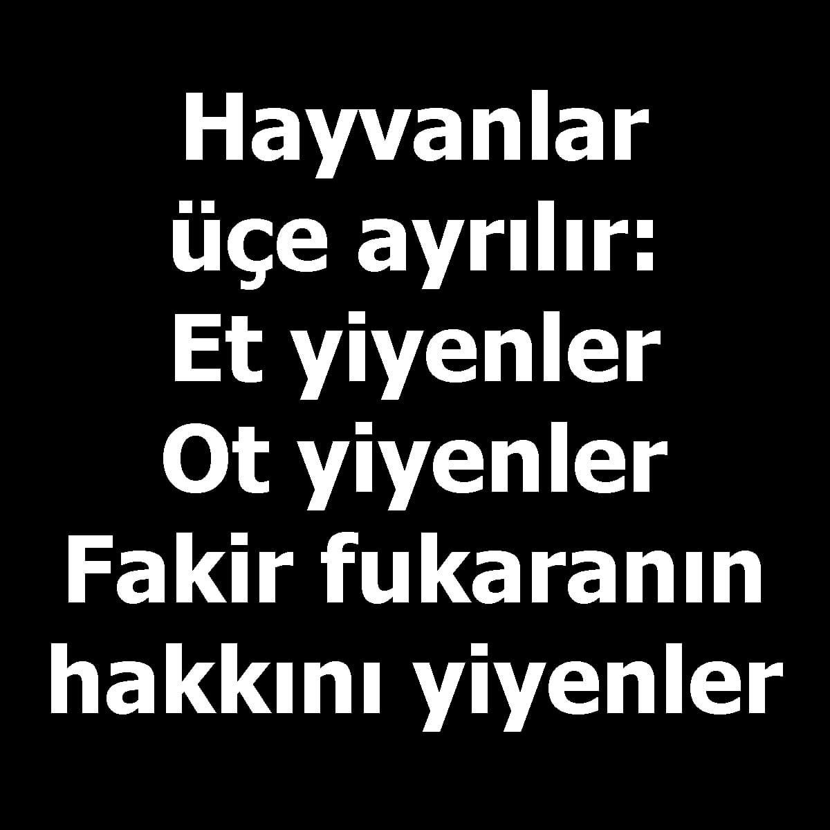 AntalyaSevil's tweet photo. Hayat işte nereden nereye geldik.. https://t.co/E4uPvDTlC6