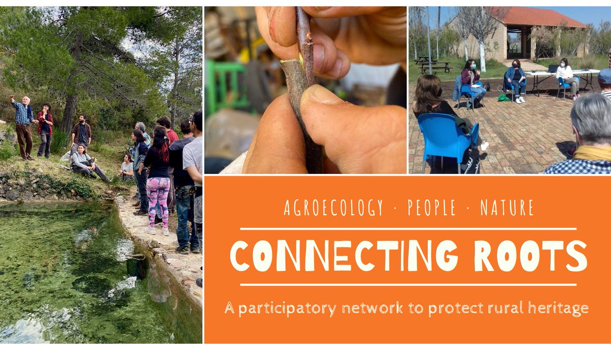 ConnectaNatura's tweet photo. Hem presentat el projecte Connecting Roots a la plataforma Civic Europe! Volem reforçar les activitats que fem amb el #MosaicsDeVida, com la dinamització rural i la recuperació de varietats tradicionals de cultiu.
Et deixem l'enllaç per saber més!
https://t.co/cIIolAOZim https://t.co/qlYGEjBgj0