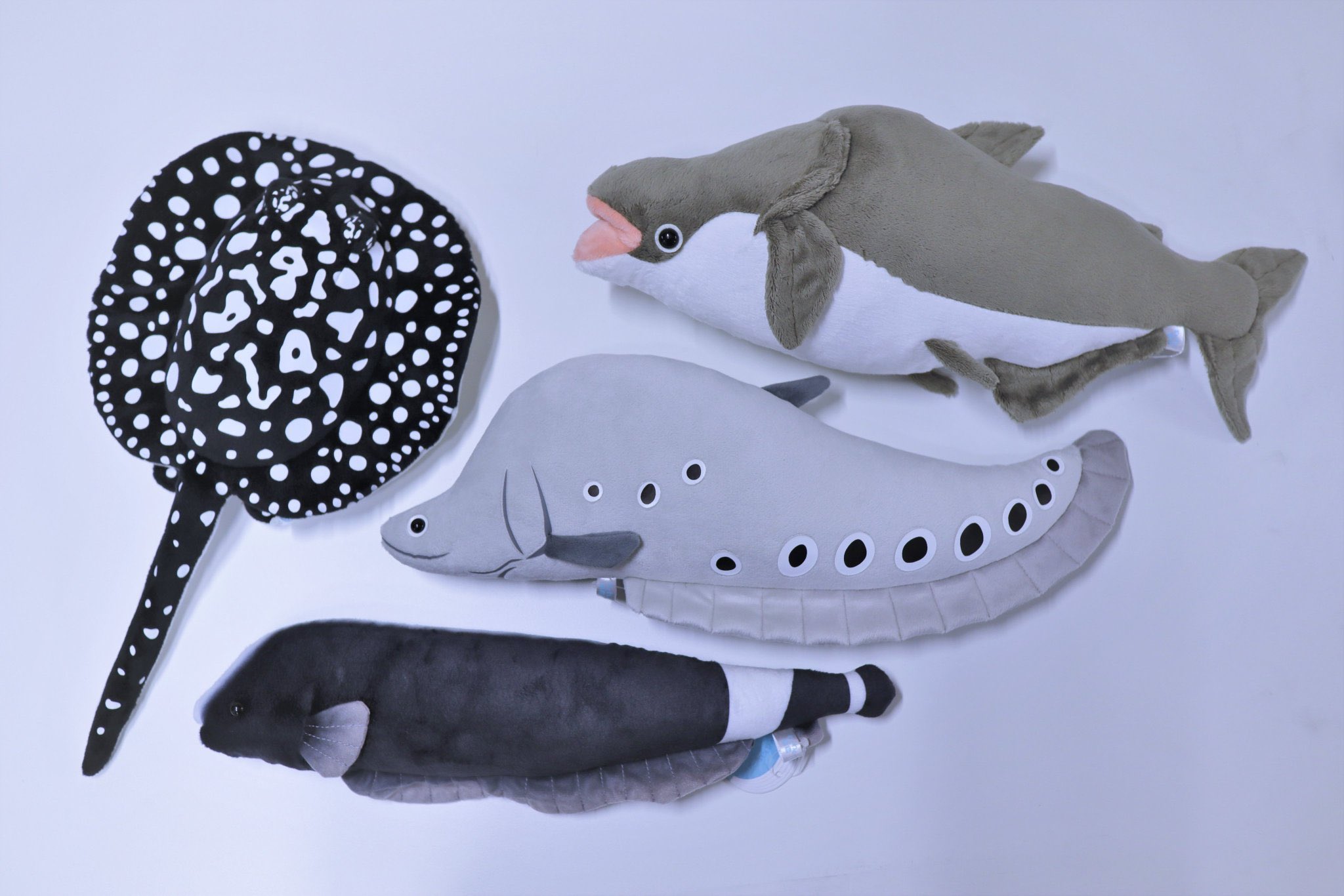 水族館 ぬいぐるみ 単品 📢発売情報／ かわいいだけじゃだめですか🐧 “かわいい”を