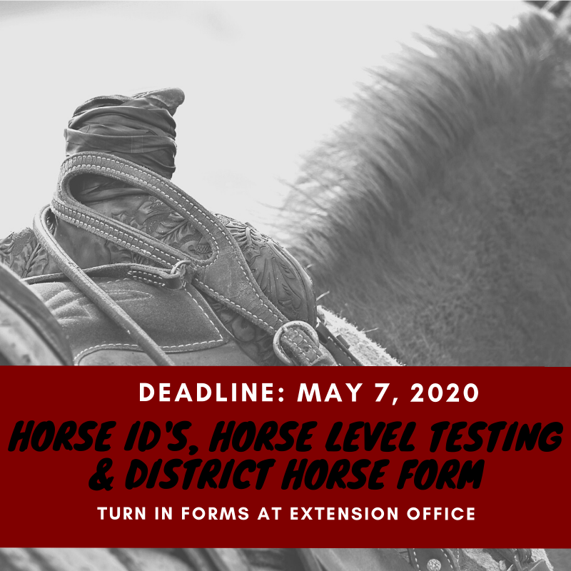 REMINDER: Friday, May 7 is the deadline for Horse ID's, Horse Level Testing and District Horse Forms!