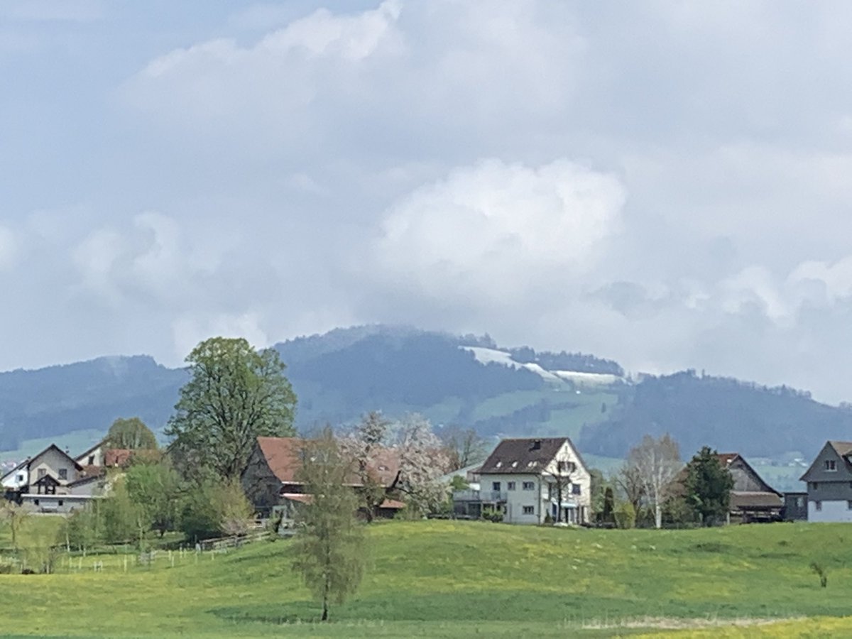 Dr_Meier's tweet photo. Heute wieder #Schnee auf dem #Bachtel im #ZüriOberland. #Wetter #Schweiz #Zürich #Frühling #Klima @srfmeteo @MeteoNewsAG @Kachelmannwettr https://t.co/91oFjF5FOi