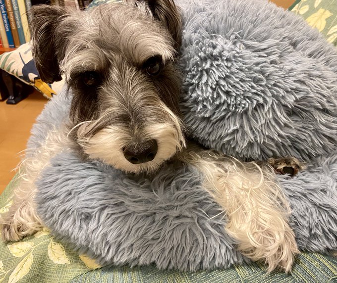 ไน
ใใถใใซไฝ่ชฟไธ่ฏใงใใฆใณโคต๏ธโคต๏ธ
ใใฃใจๅพฉๆดปใใฆใใใผ๐
็ฒใๆบใพใฃใฆใใฎใใใ๐ฆ
ใชใใณใฐใซ่กใฃใใใใฃใญใกใใใใฏใใทใงใณใซๆใพใใฆใพใใใ็ฌ
็ใใใ๐ถ๐ถโจ
1ๆฅๅฏใฆใใใๅ
จ็ถไปไบใงใใฆใชใใ๐ฆ
ๆใใญใฐใ๐ฆ