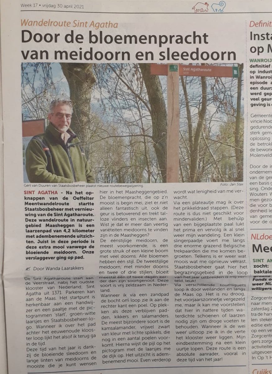 Collega Gert van Duuren heeft onze Sint Agatharoute opgeknapt. Deze week een speciaal verslag in <a href="/DeBoKBoxmeer/">DeBoKBoxmeer</a> <a href="/landvancuijk/">Land van Cuijk.nl</a> Zelf dit laarzenpad wandelen:
staatsbosbeheer.nl/routes/maasheg…