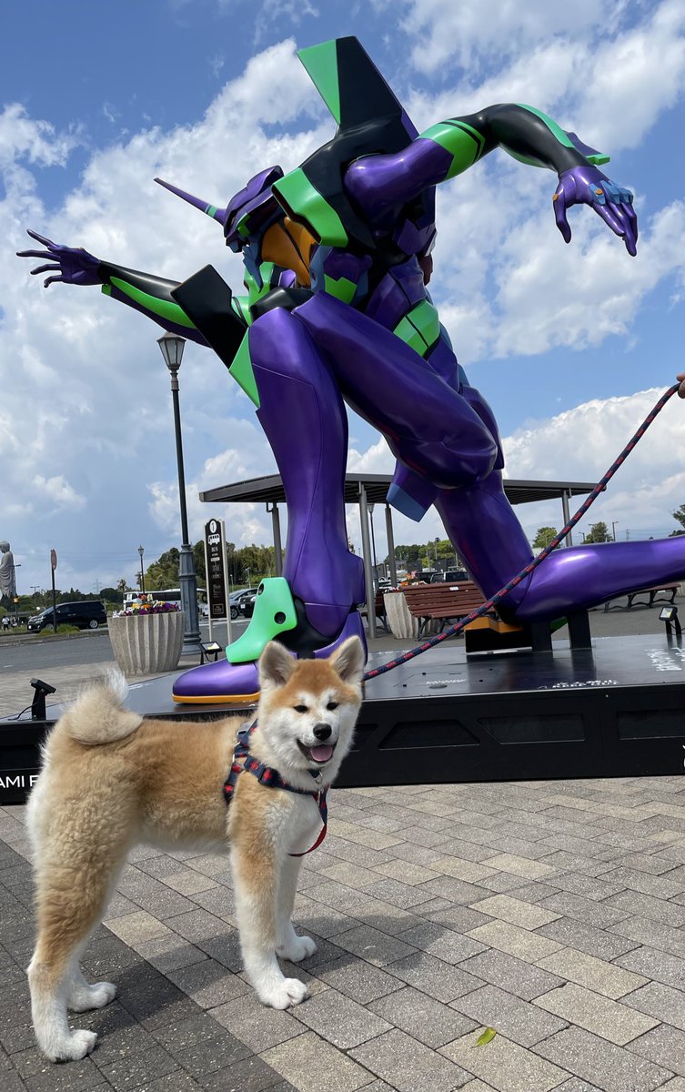 あみアウトレット Twitter Search