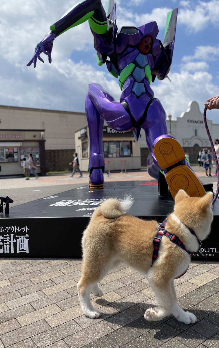 あみアウトレット Twitter Search