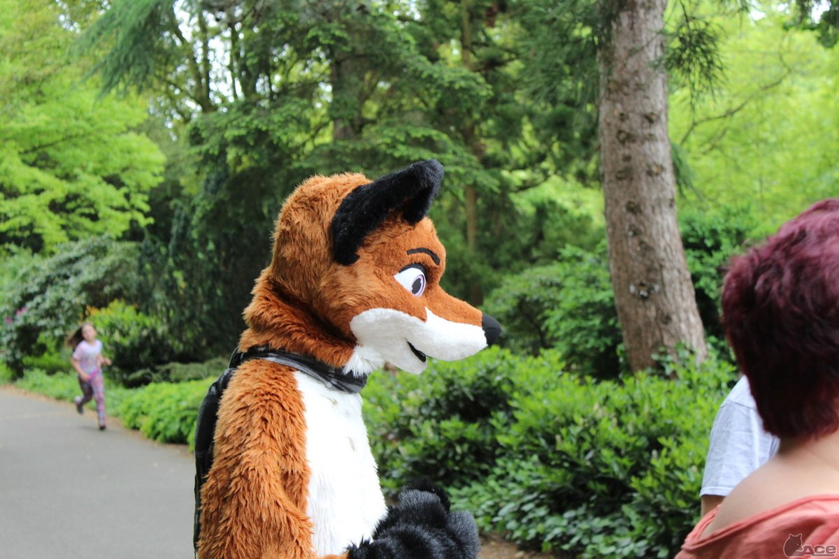 Fursuit Photo of the day