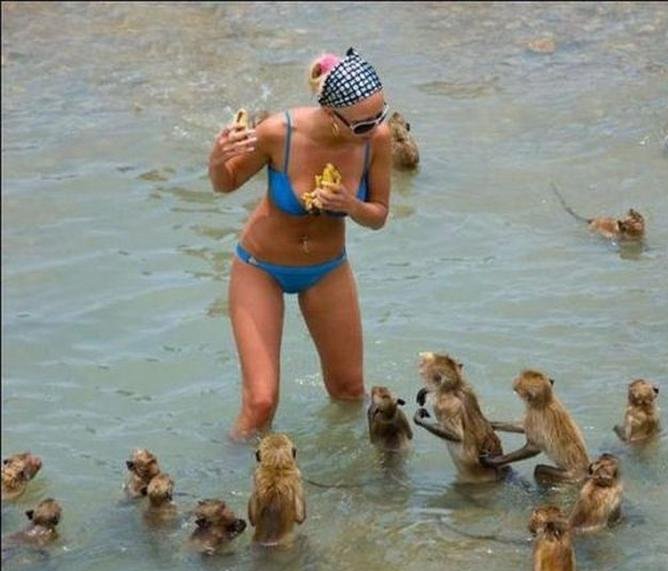 Look closely next time you go to the #beach! 😳🤣😝#sundayvibes #SundayMorning #SundayMotivation 

galleries.parentsdome.com/a-day-at-the-b…