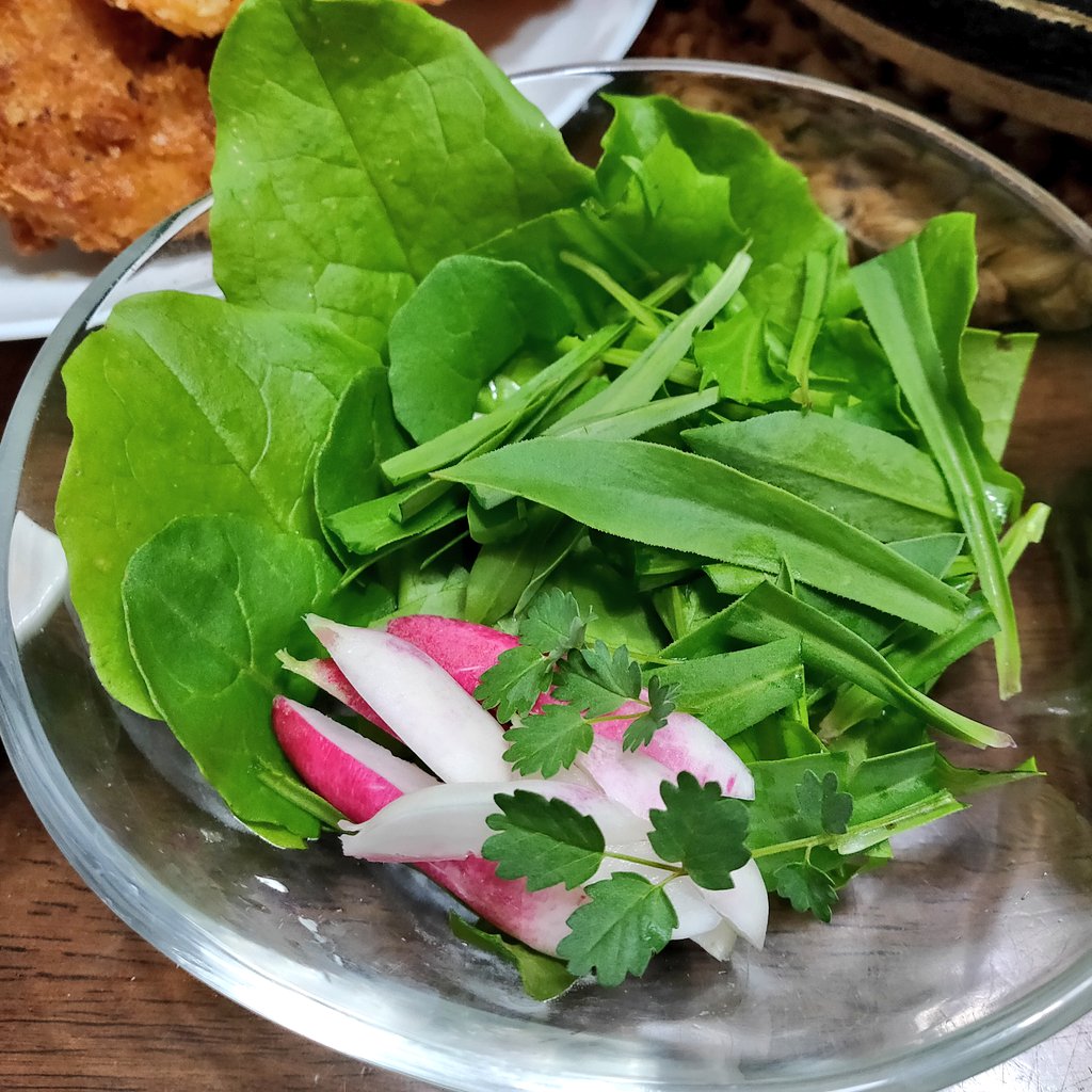 にゃごにゃ 春蒔き葉物野菜 今季初収穫です ａ菜 ストリドーロ ルッコラ サラダバーネット 水菜 せっかくですので自宅で採れた野菜で一皿盛りました サラダバーネットはキュウリの味というけれど うーん 笑 全部一緒に食べるとゴマ風味の