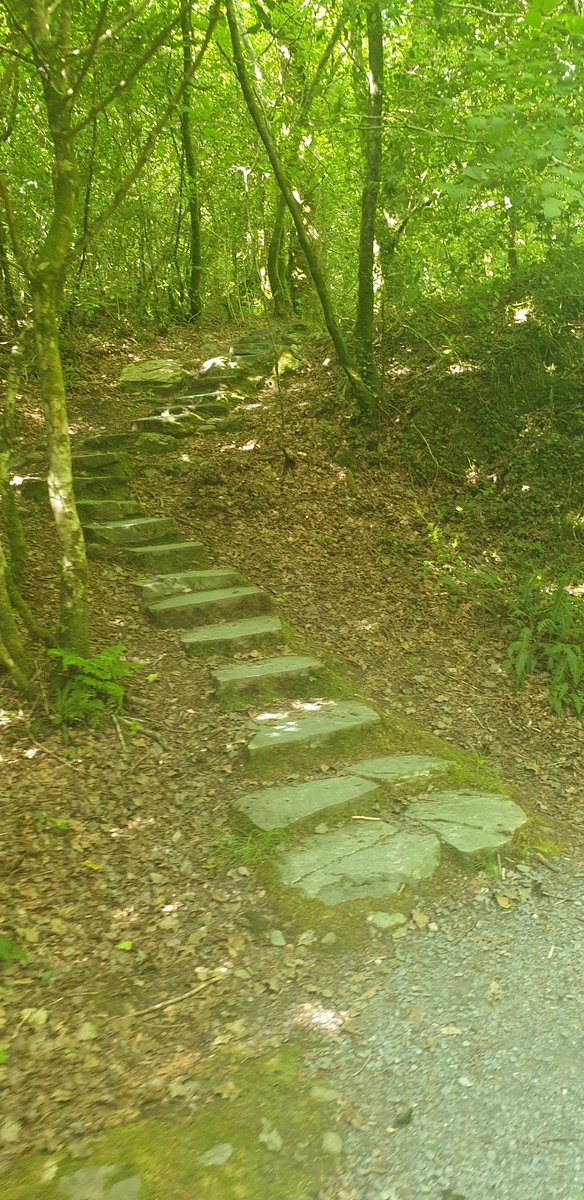 Samantha Kelly Media tweet media