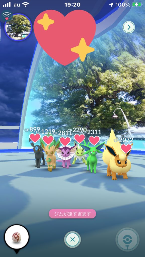 ポケモンgo リーフィアの色違い 入手方法と実装状況 攻略大百科 ポケモンgo リーフィアの色違い 入手方法と実装状況 攻略大百科