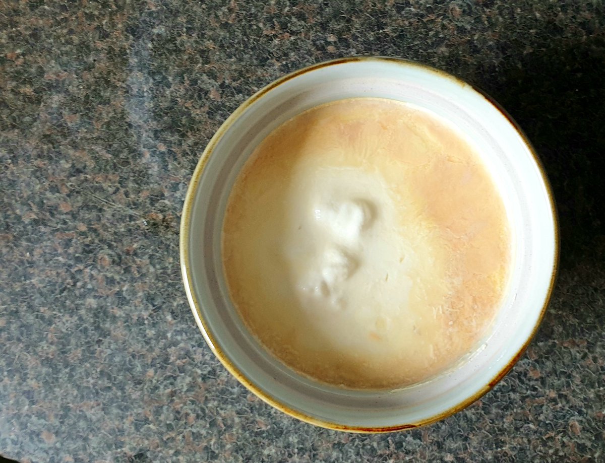 ShakeTheTreeDP's tweet image. Any #fermentation experts that could tell me what&apos;s happened to my #kefir?
I&apos;ve been making it for a year or so, &amp;amp; this is the first time it&apos;s gone brown.  It was in a warm place for a day, then transferred to the fridge...all normal.
#fermentedfoods
#guthealth
#symbioticculture
