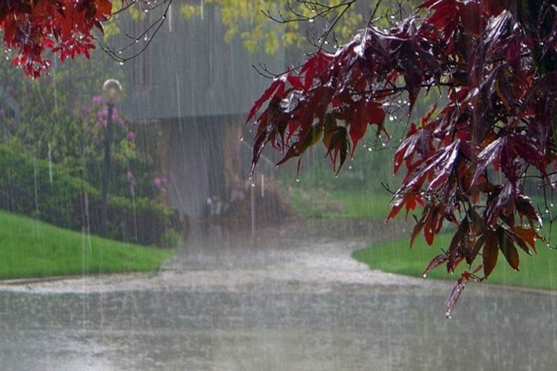 bboomerjourno's tweet photo. #FirstRainOfMay is the most blessed rain of the year. It can cure sickness and bring luck. First rain of May eliminates dismal mood. Rain is not only drops of water. It’s the love of the sky for earth. They never meet each other but sends love this way. https://t.co/0e3Mc7k1tz