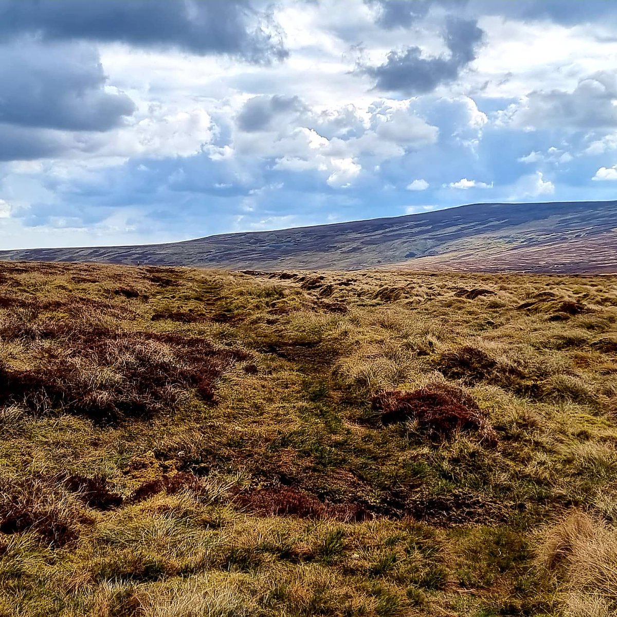 Skyestrolls's tweet photo. Wetter weather coming in over the high Pennines in the west. #Carrshield #Northumberland #LoveUkWeather #WeatherWatchers @NorthPennAONB https://t.co/MzFkN7DbP4