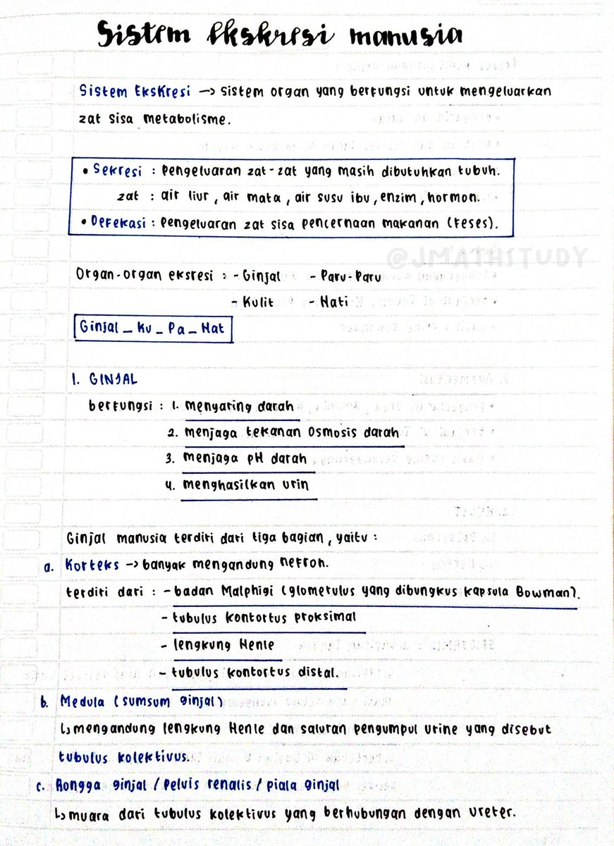 jmathstudy's tweet photo. biologi - sistem ekskresi
#jmathnotes https://t.co/jo3IbRFtb2