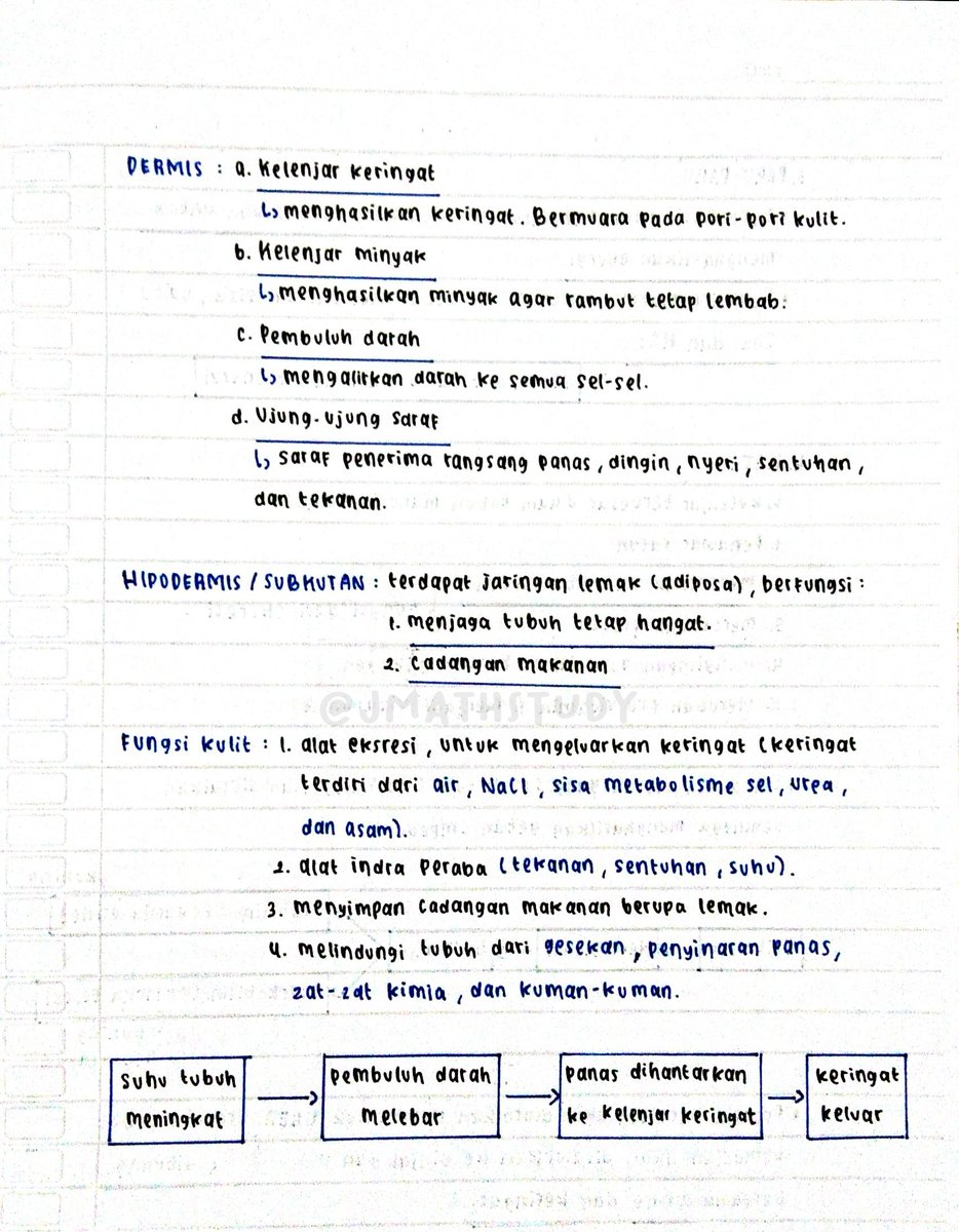 jmathstudy's tweet photo. biologi - sistem ekskresi
#jmathnotes https://t.co/jo3IbRFtb2