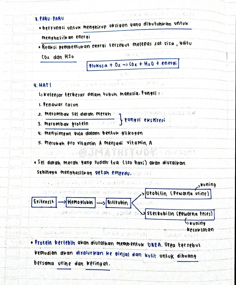 jmathstudy's tweet photo. biologi - sistem ekskresi
#jmathnotes https://t.co/jo3IbRFtb2