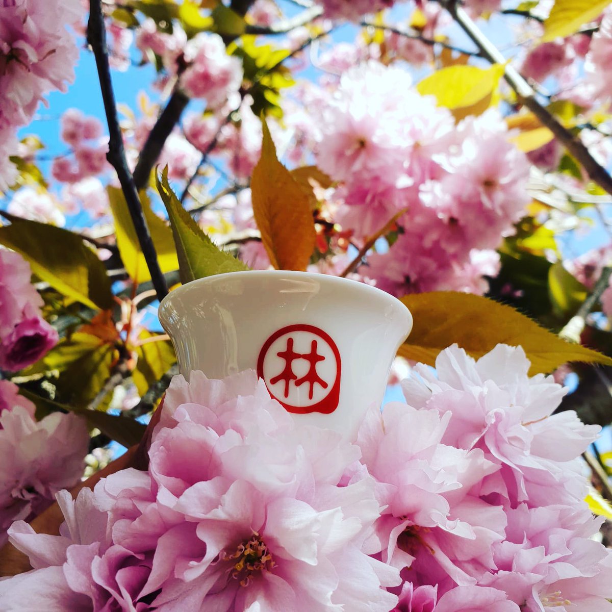 The sun is shining and the blossoms are blooming. What have you got planned this bank holiday weekend?