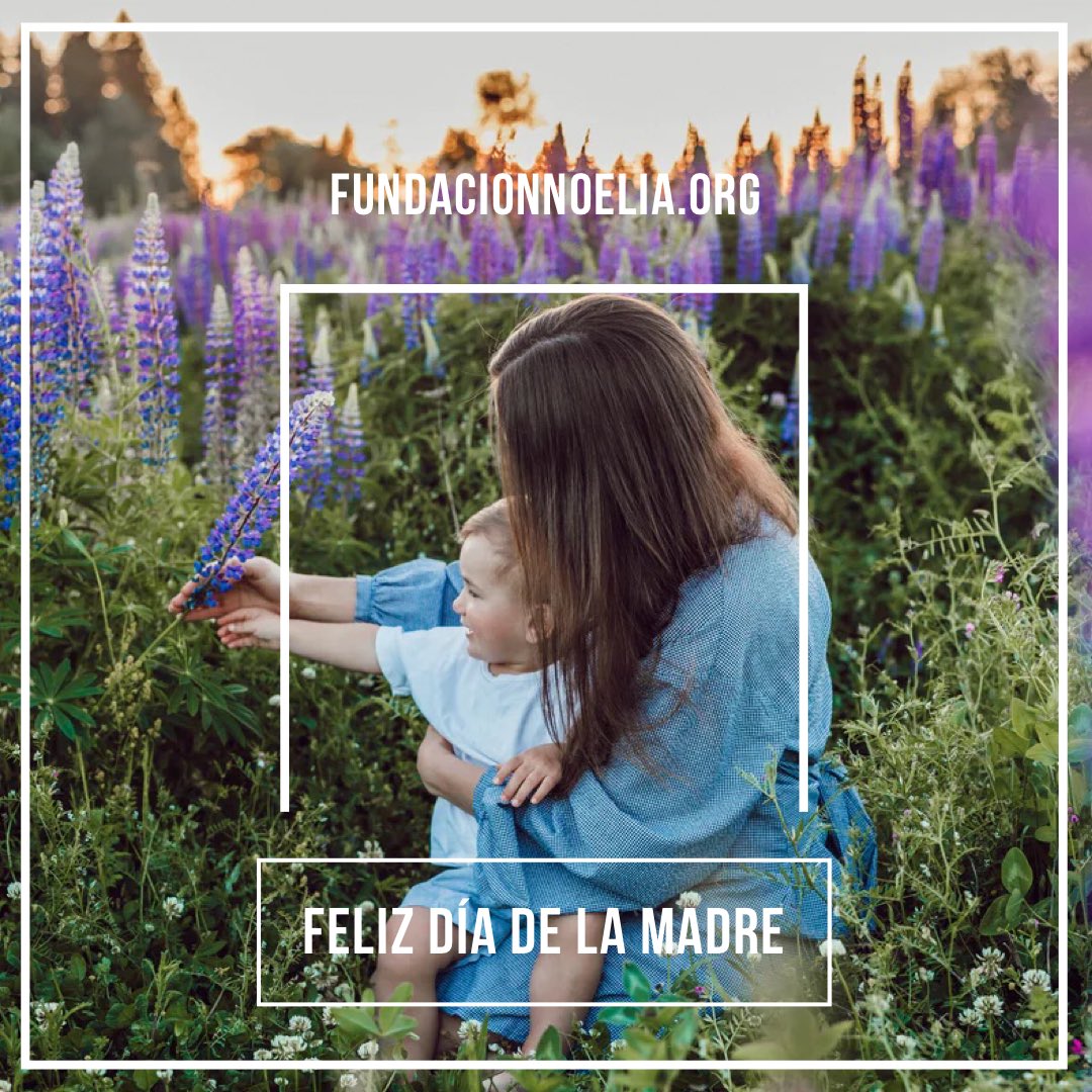 A las que debemos la vida. A las que siempre estan ahi cuando las necesitamos. A las que seguiran estando a nuestro lado pase lo que pase.

¡FELIZ DIA DE LA MADRE!