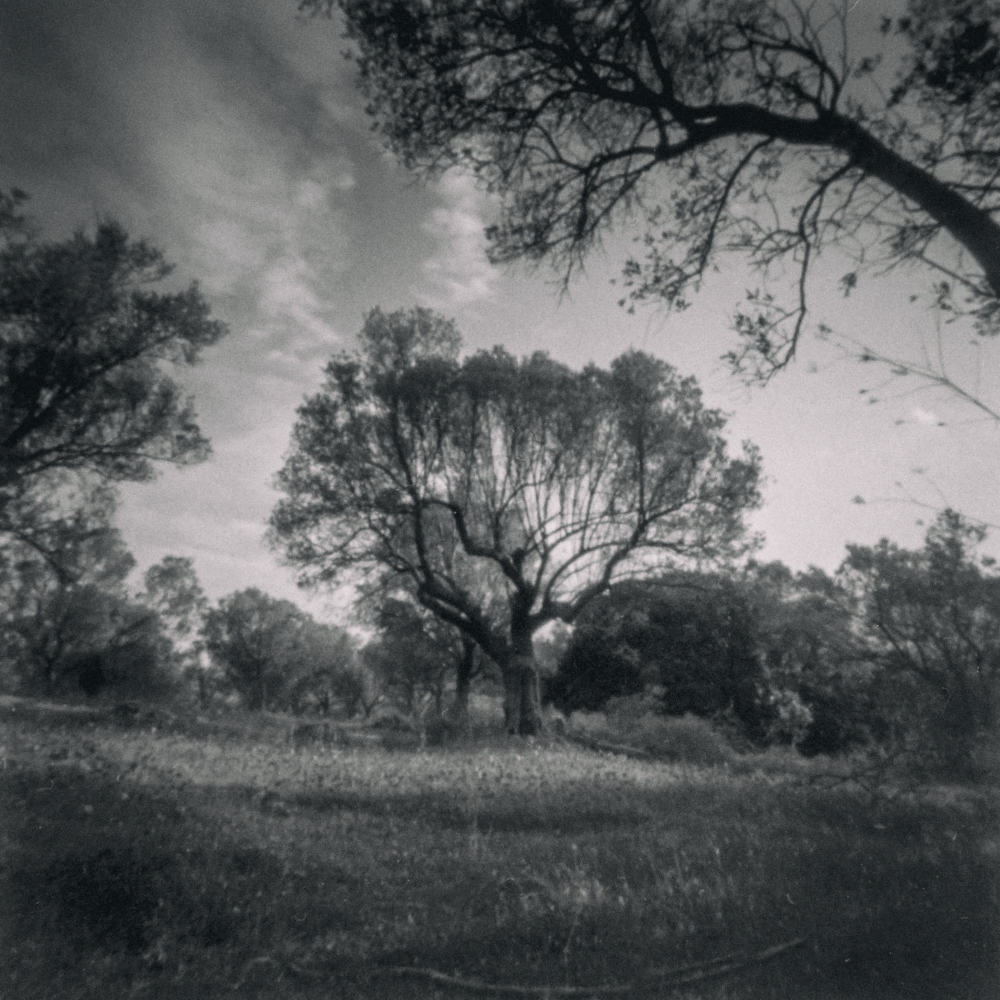 With my Zero 2000 pinhole camera and Fomapan 100 b&w film

#photography #filmphotography #blackandwhite #blackandwhitephotography #zeroimage2000 #pinhole #pinholephotography #pinholecamera #pinholephoto #blackandwhitefilm #fomapan100 #fomapanfilm